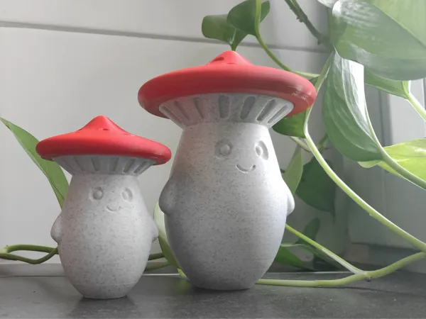 https://makerworld.bblmw.com/makerworld/model/US5fc187b011804a/design/2024-09-10_695825fa8b91d.jpg