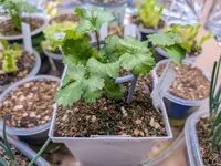 0.2mm layer, 6 walls, 25% infill