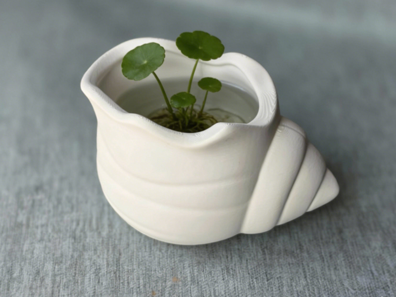 Miniatura 2 do modelo 3D 海螺绿植花盆 桌面造景摆件
