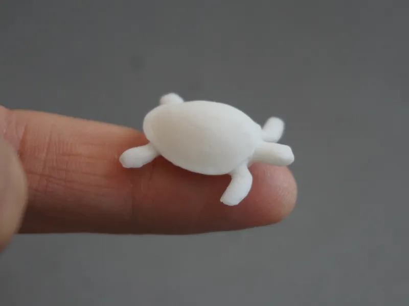 Mini Tortoise (10min)