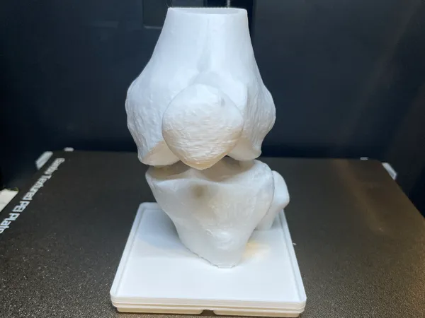 https://makerworld.bblmw.com/makerworld/model/US5fc6eff4ce6d5c/design/2025-04-10_1b02d39ac65f68.jpg