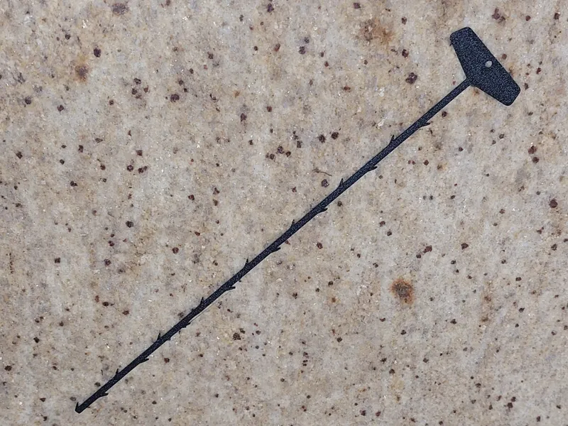 Drain Snake