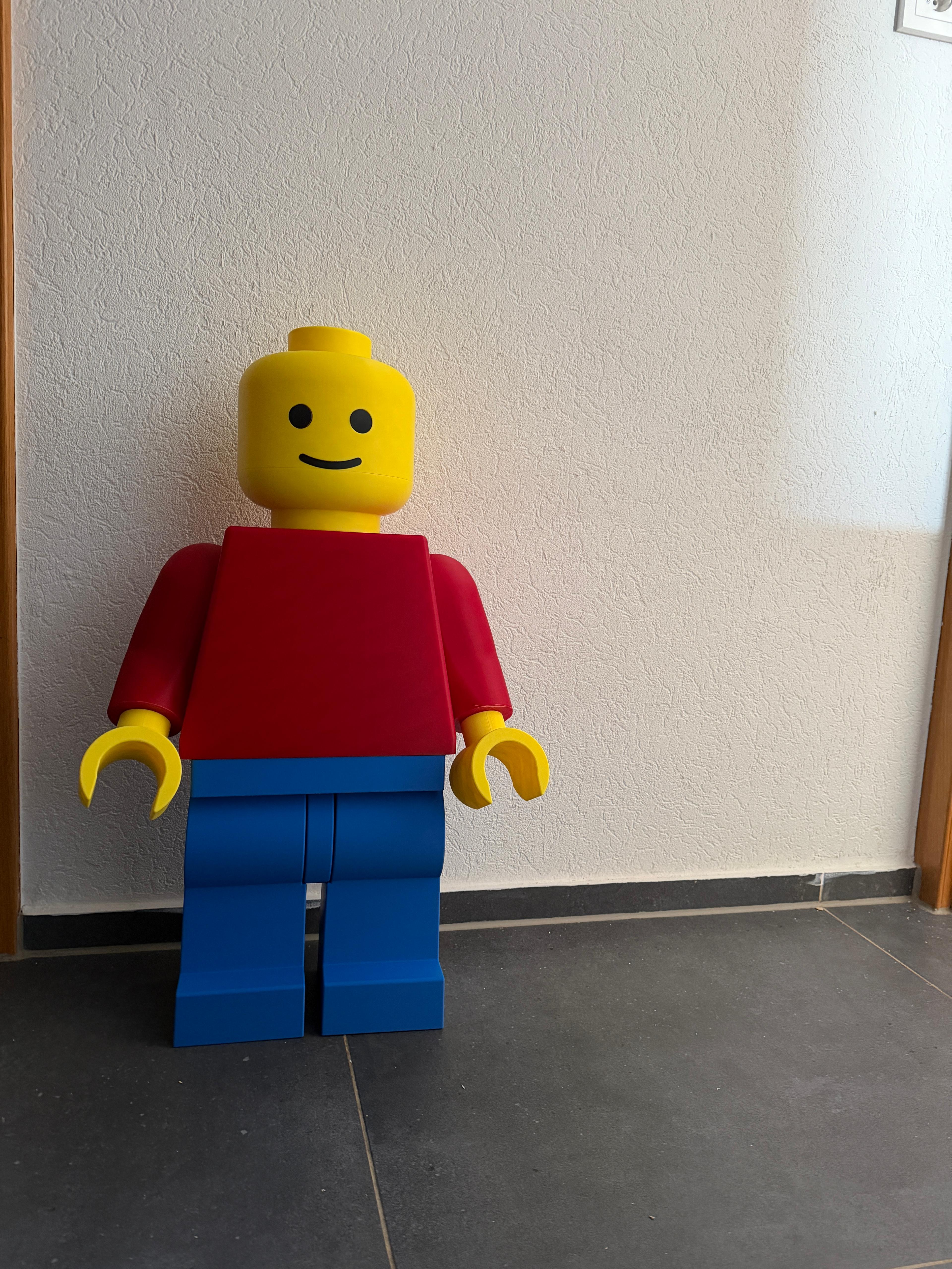 Miniatura 23 do modelo 3D Brick Megafigure (10:1 scale)