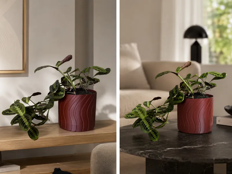 Planter with hidden drip tray and curved lines 