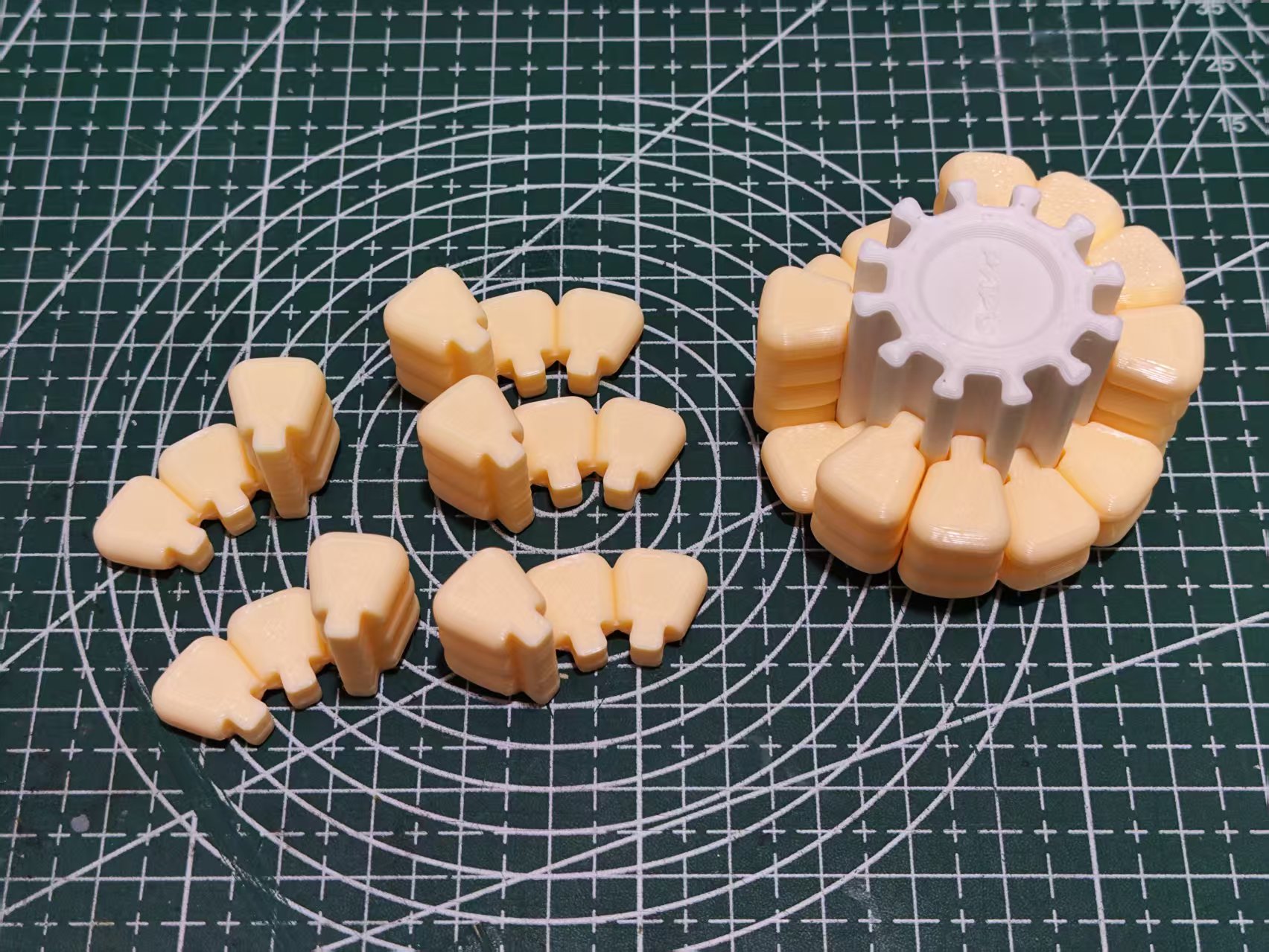 ケムンパス出品 立体標本3点 3D立体パズル謎解きゲーム-コーン(テトリス風コーン版) 作成者