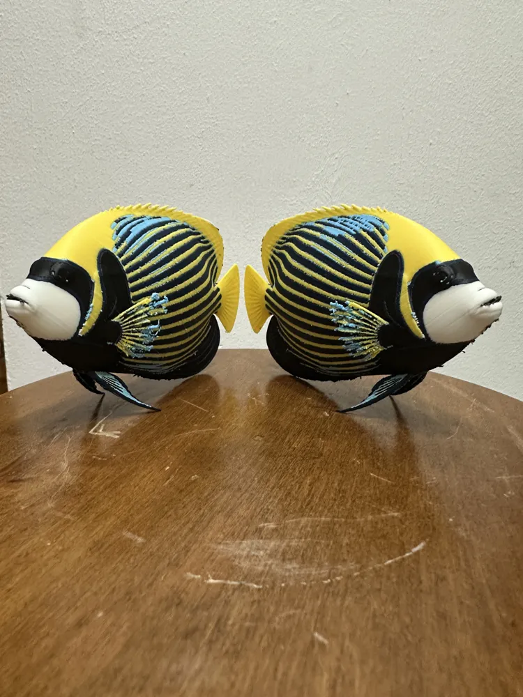 Pez ángel emperador realista – Pomacanthus imperator - Modelo de ...
