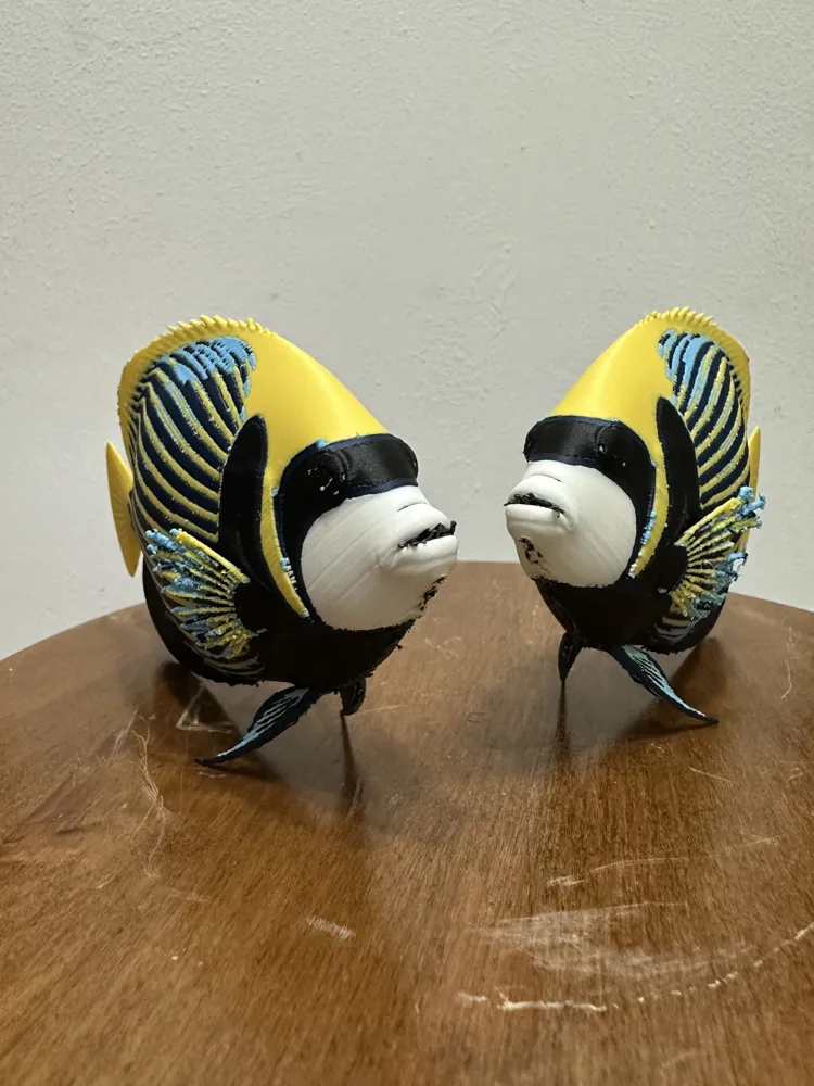 Pez ángel emperador realista – Pomacanthus imperator - Modelo de ...