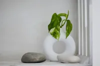 Vase donut minimaliste inspiré IKEA — photo 3