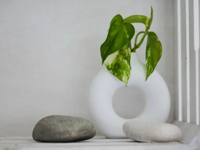 Minimalist Donut Vase - IKEA Inspired