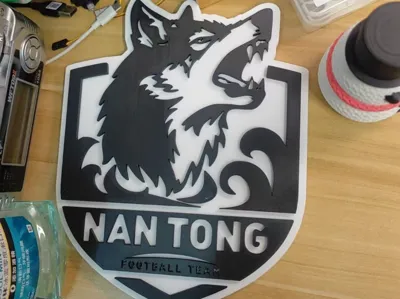 Chinese Super League - Nantong Team Emblem (3mm Relief)