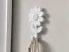 Daisy single color