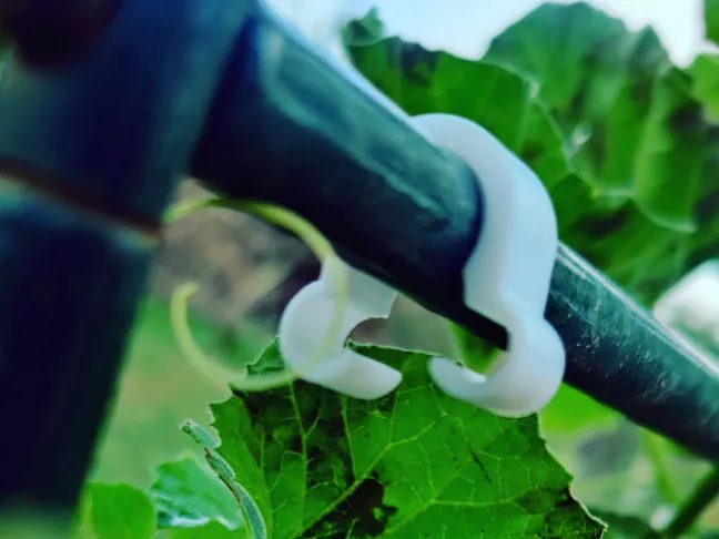 accroche grillage pour arche de jardin