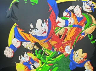 Dragon Ball Z Lightbox