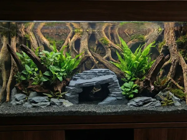 https://makerworld.bblmw.com/makerworld/model/US5fdd59c1ecfc49/design/2025-12-20_271be61c8ee5.png