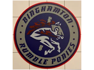Binghamton Rumble Ponies coaster