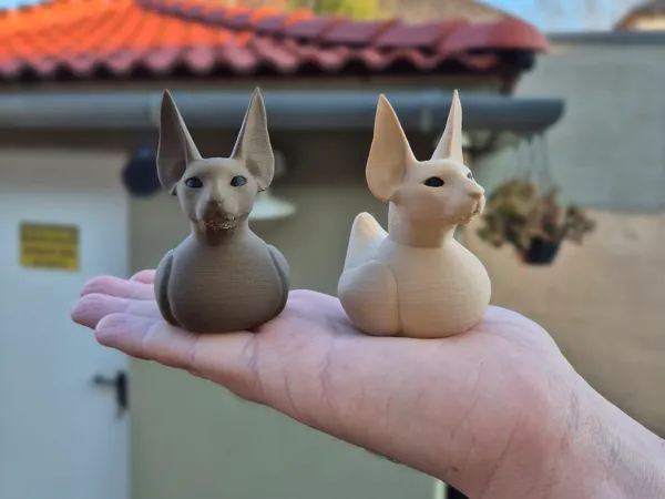 https://makerworld.bblmw.com/makerworld/model/US5fe10e9a8a072d/design/2025-02-22_9467232b54f848.jpg