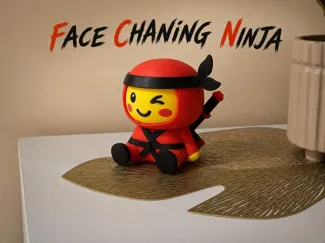 Face Changing Ninja