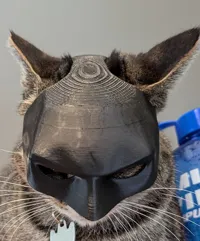 Masque Batcat — photo 2