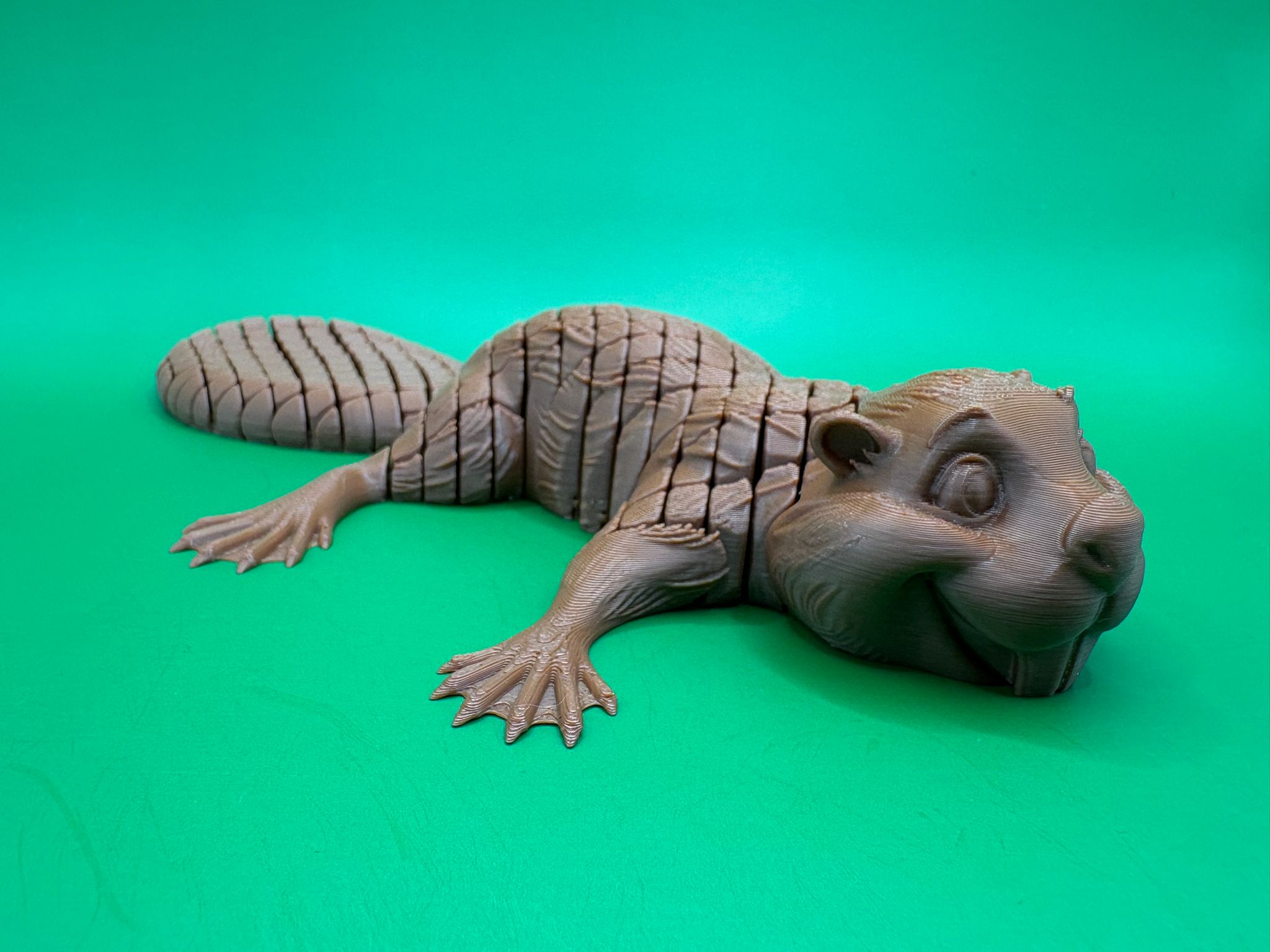 Miniatura 2 do modelo 3D Flexi beaver