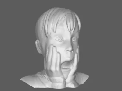 Kevin from Home Alone BUST