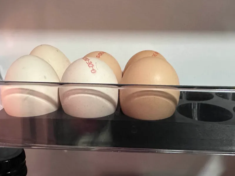 Compact 10-Egg Tray – Fridge Storage Organizer