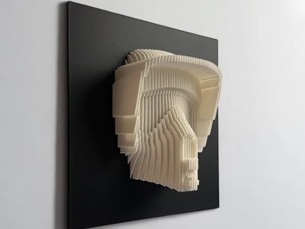 https://makerworld.bblmw.com/makerworld/model/US5ffb05901abc9f/design/2025-02-19_091d689a2778f.jpg