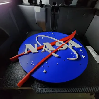 NASA Meatball Logo