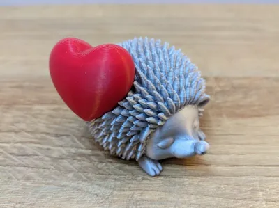 Hedgehog with Heart