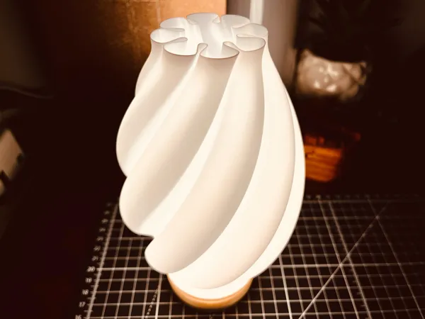 https://makerworld.bblmw.com/makerworld/model/US60033bbc564b09/design/2025-08-17_d5da750f489808.jpg