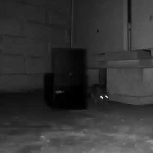 https://makerworld.bblmw.com/makerworld/model/US6005f627cc5b8d/design/2024-03-28_e4233a2ff836e.gif