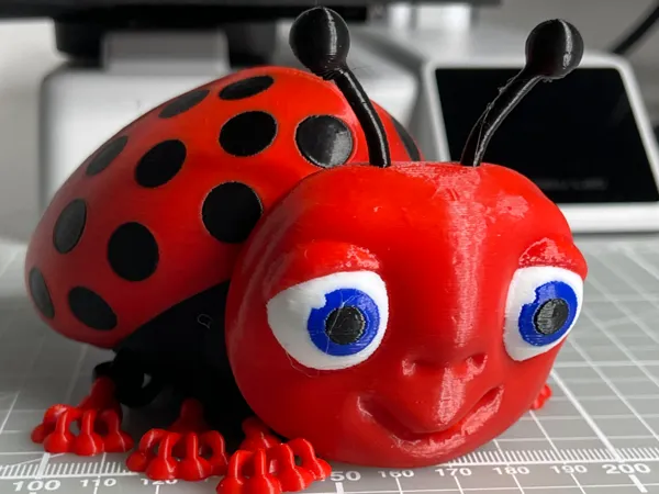https://makerworld.bblmw.com/makerworld/model/US6006ff7271ac18/design/2025-06-28_9ade282c5189d.jpg