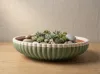 Quality profile | 310mm | default and higher top part