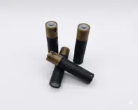 Fake AAA battery