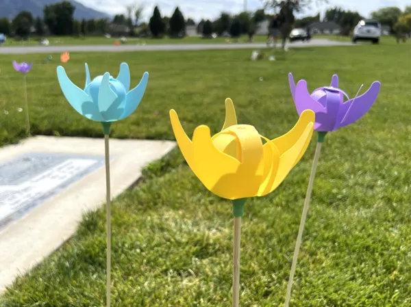 https://makerworld.bblmw.com/makerworld/model/US601231955b696e/design/2024-08-25_3d1ff00755d75.jpg