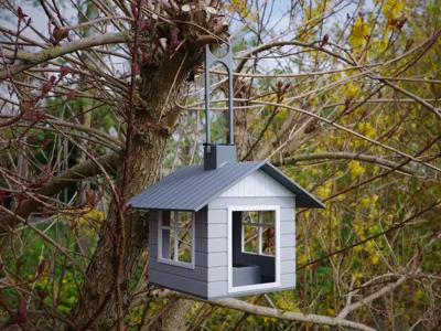 Bird Feeder Hvide Sande