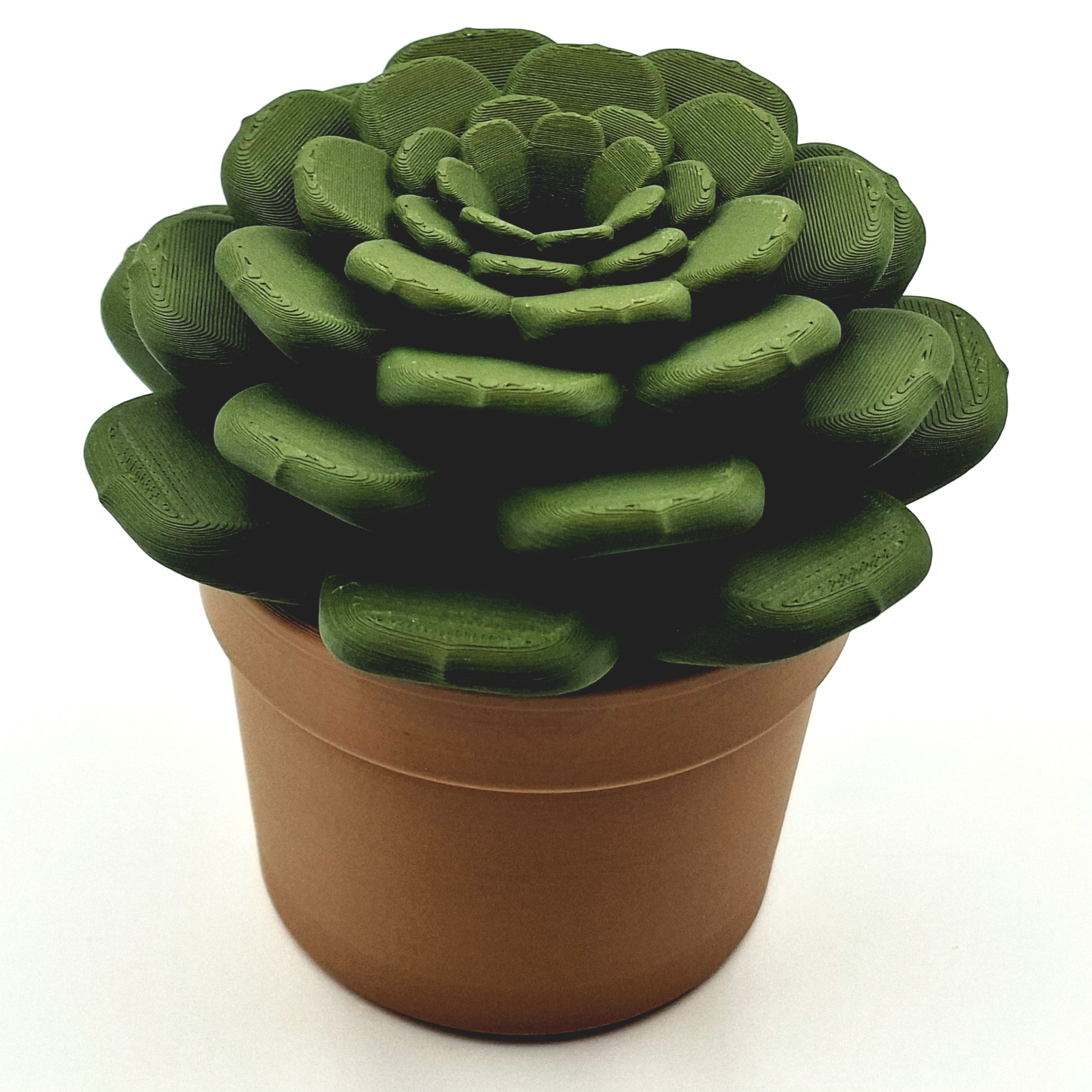 Miniatura 3 do modelo 3D Succulent Fruit Fly Trap
