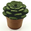 Plant 1 / pot 1
