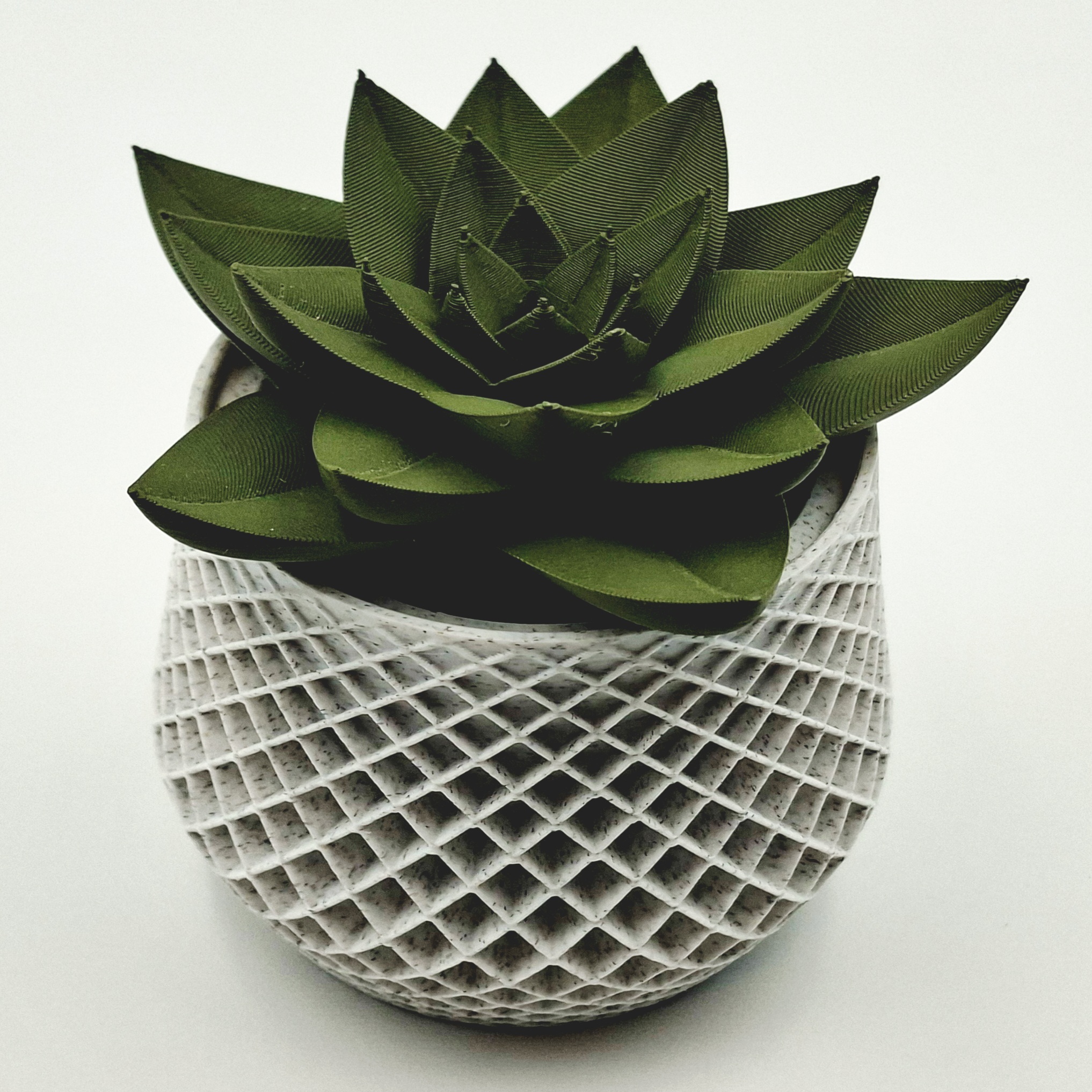 Miniatura 1 do modelo 3D Succulent Fruit Fly Trap