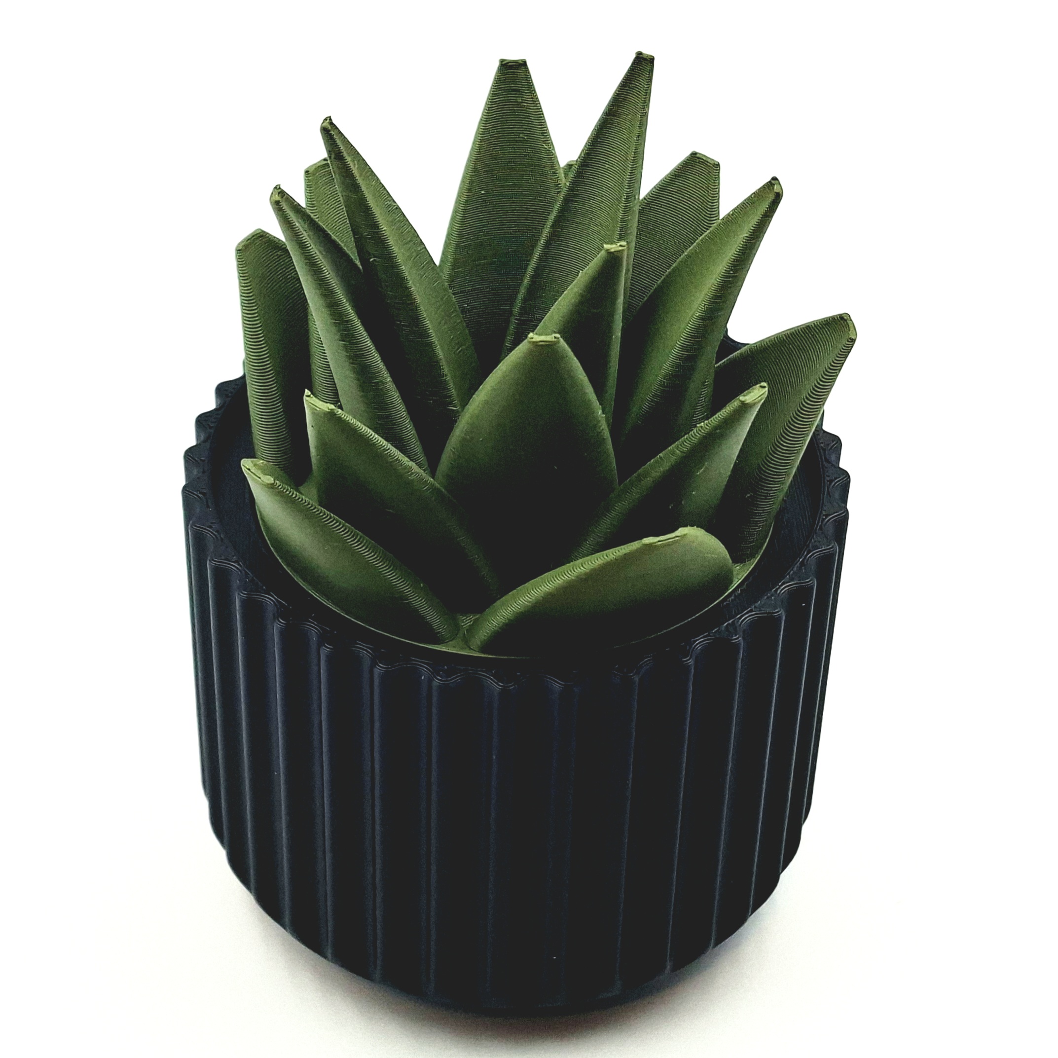 Miniatura 2 do modelo 3D Succulent Fruit Fly Trap