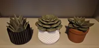 Combined models for easy mix and match printing.