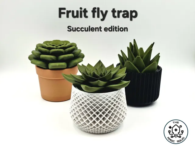 Succulent Fruit Fly Trap