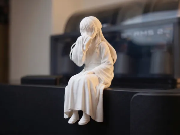 https://makerworld.bblmw.com/makerworld/model/US6020a706e2dcc/design/8130d99fdd69cd7a.png