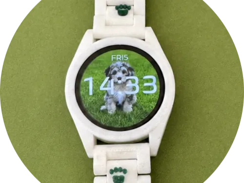 Qwatch - Paws Case