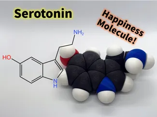 Serotonin molfidget with rotatable bonds