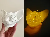 0.16mm layer, 2 walls, 15% infill