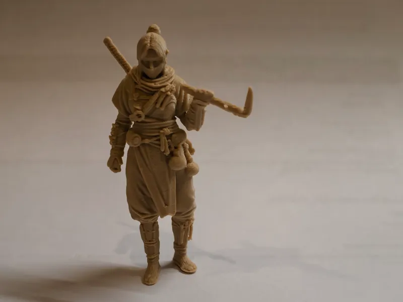 Kunoichi Ninja Female Warrior