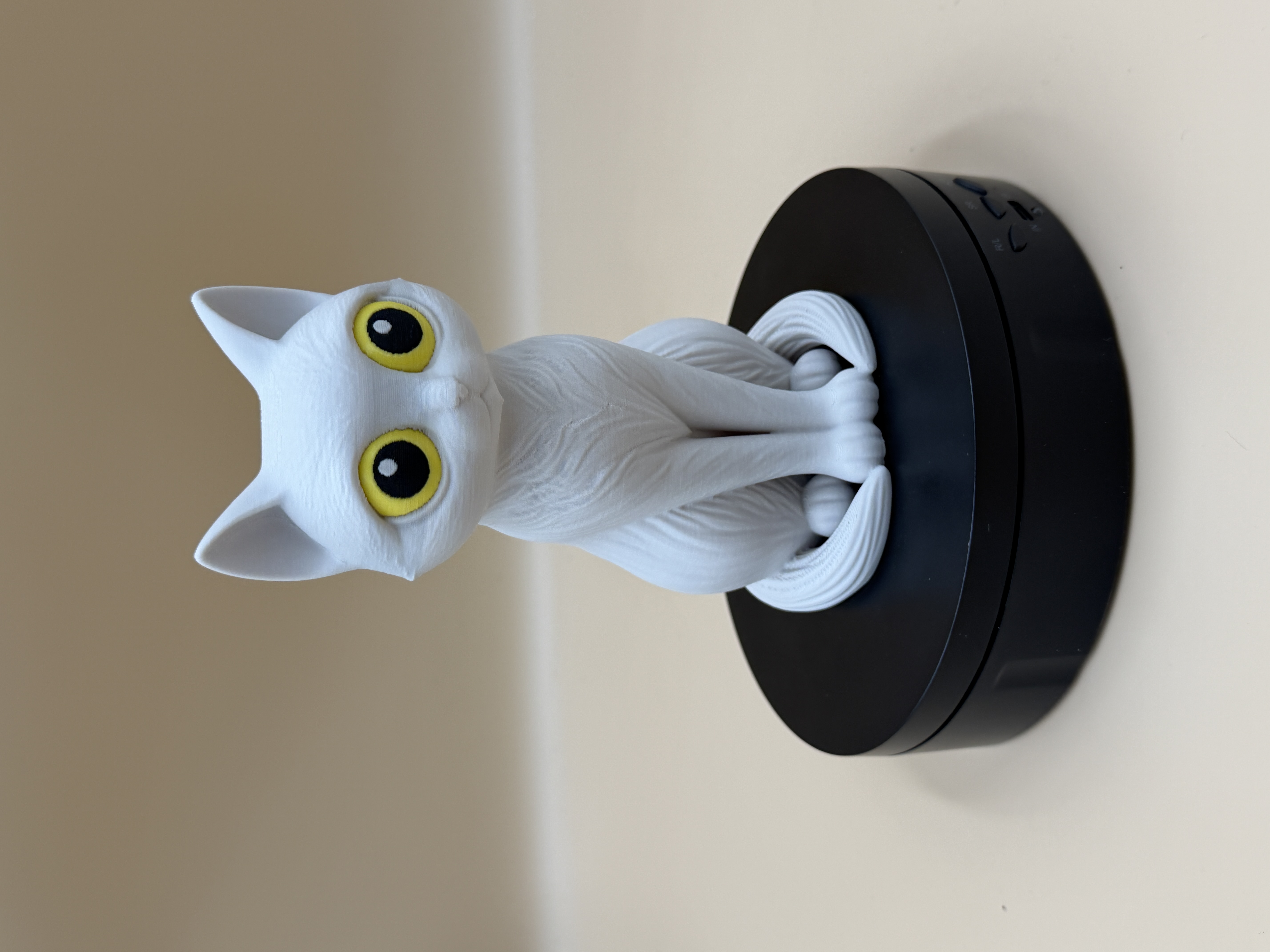 Miniatura 2 do modelo 3D Midnight Moonwatch Cat 
