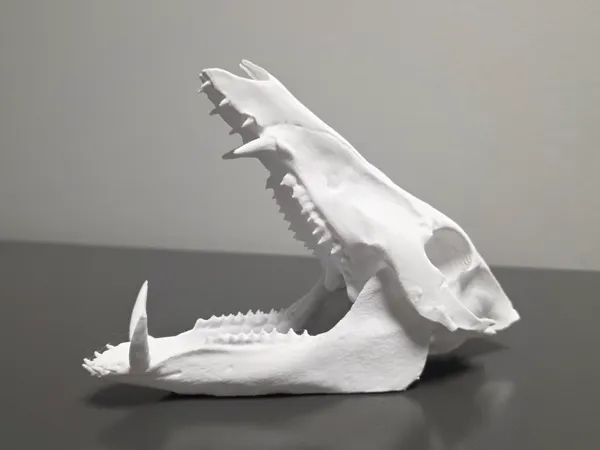 https://makerworld.bblmw.com/makerworld/model/US604591a54e34e4/design/2025-04-04_397678241b17b.jpg