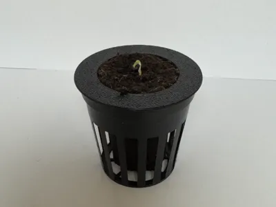 Netcup adapter for Eazy Plug CT104C