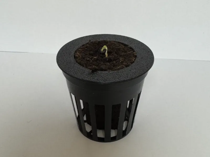 Netcup adapter for Eazy Plug CT104C